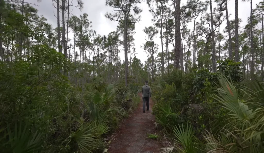 Everglades national park 1