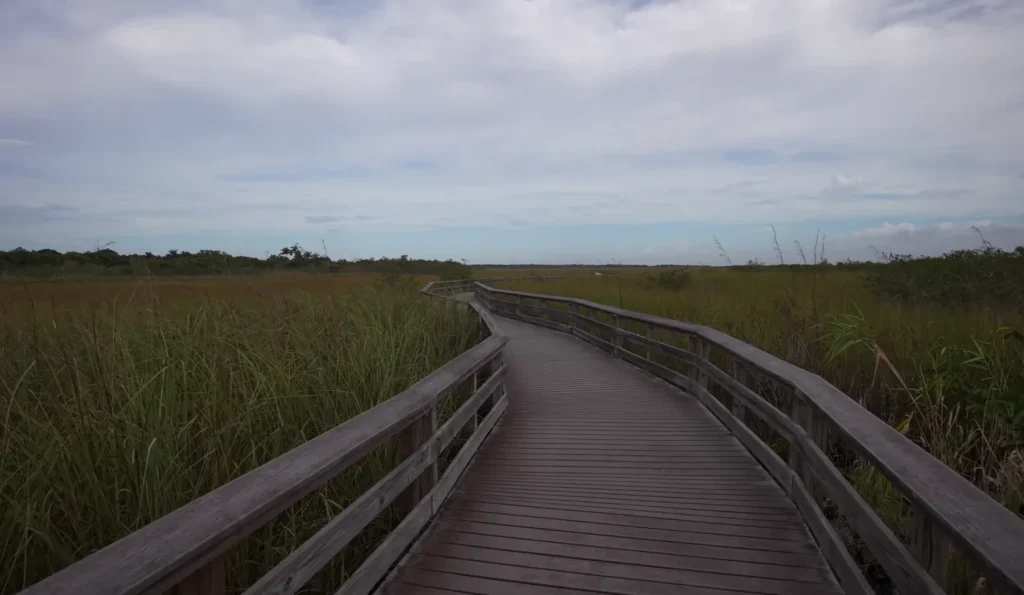 Everglades national park