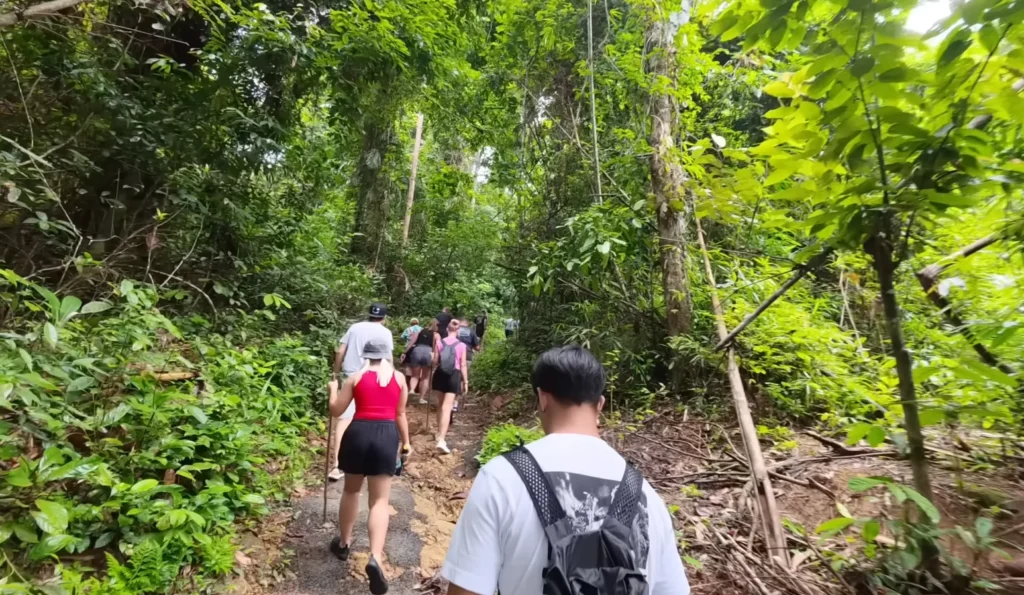 Guided tour in national park