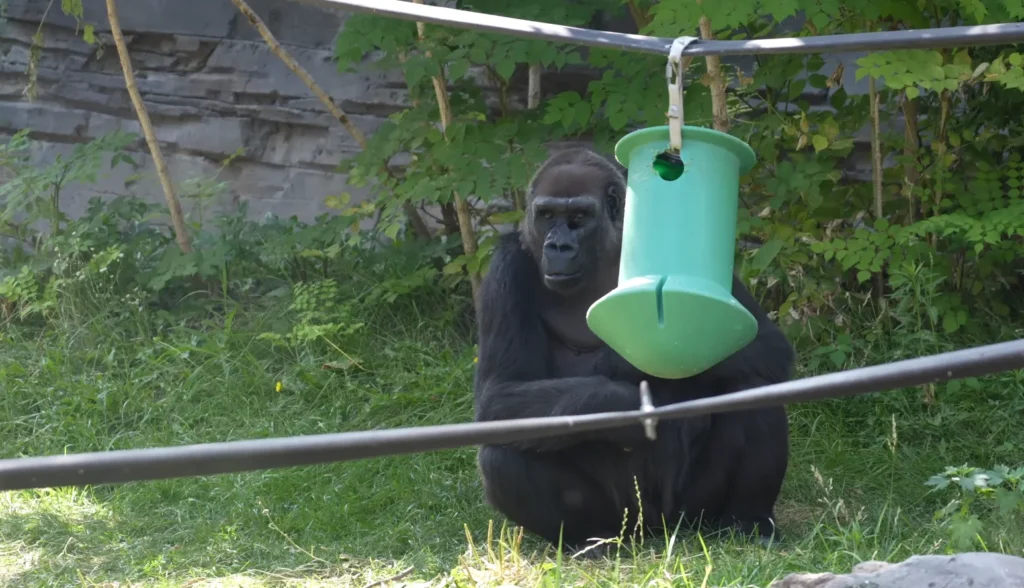 Henry Doorley Zoo 1`