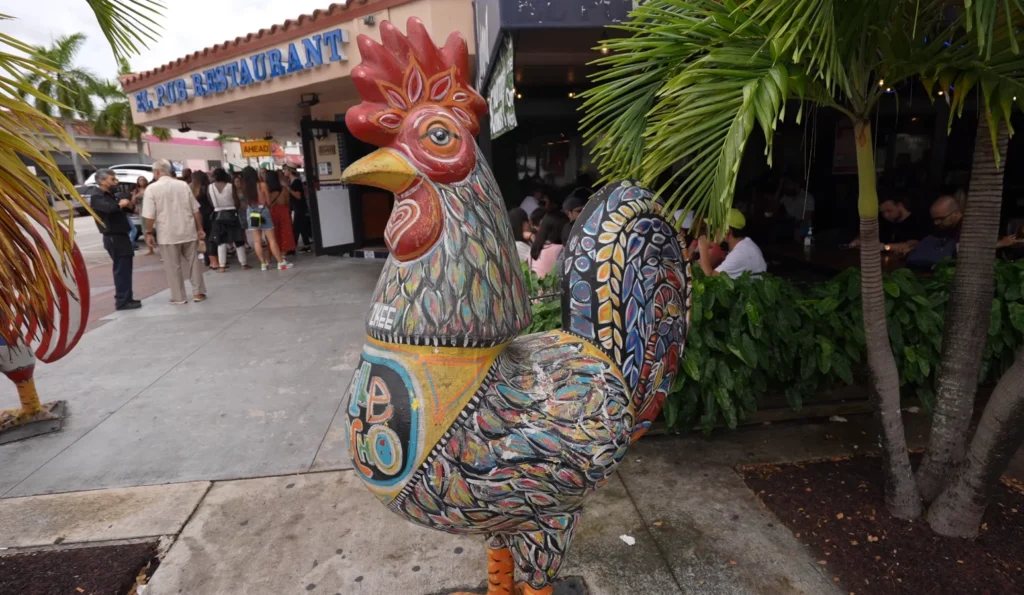 Little havana 1