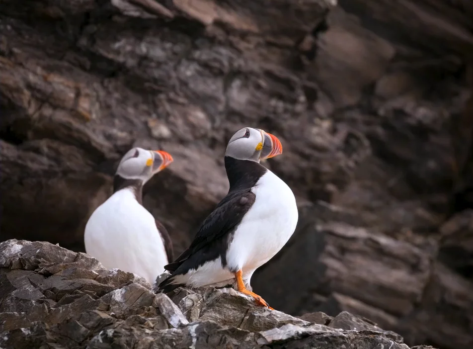 Oceanografic Valencia 1
