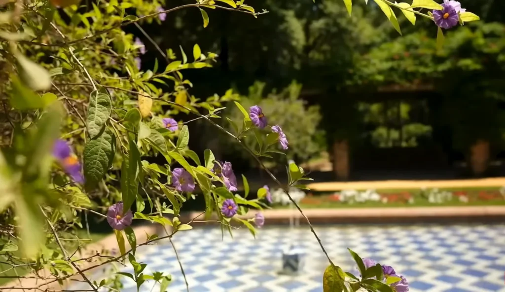 Parque de maria luisa