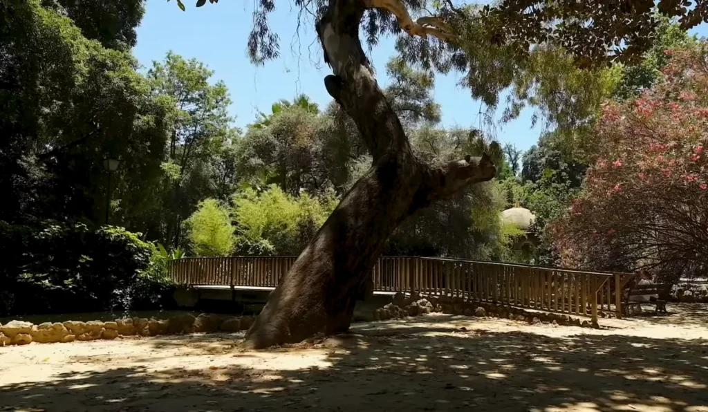 Parque de maria luisa 2