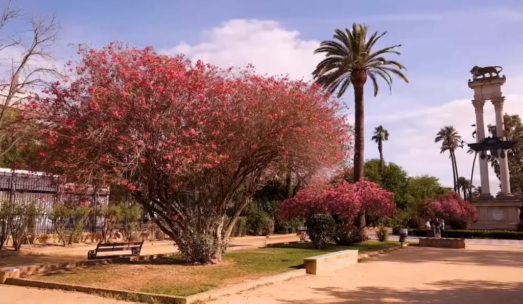 Real alcazar of seville 3