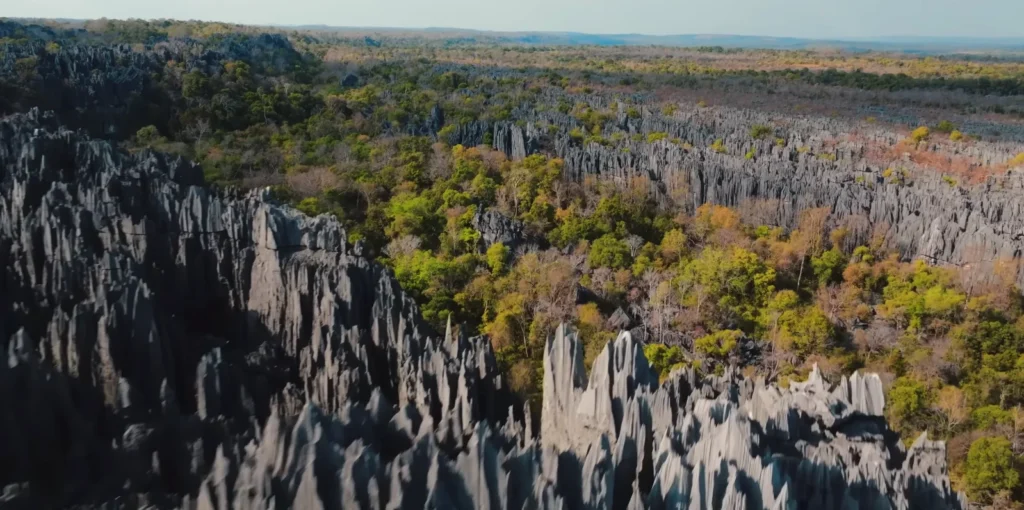 Tsingy De Bemaraha 1