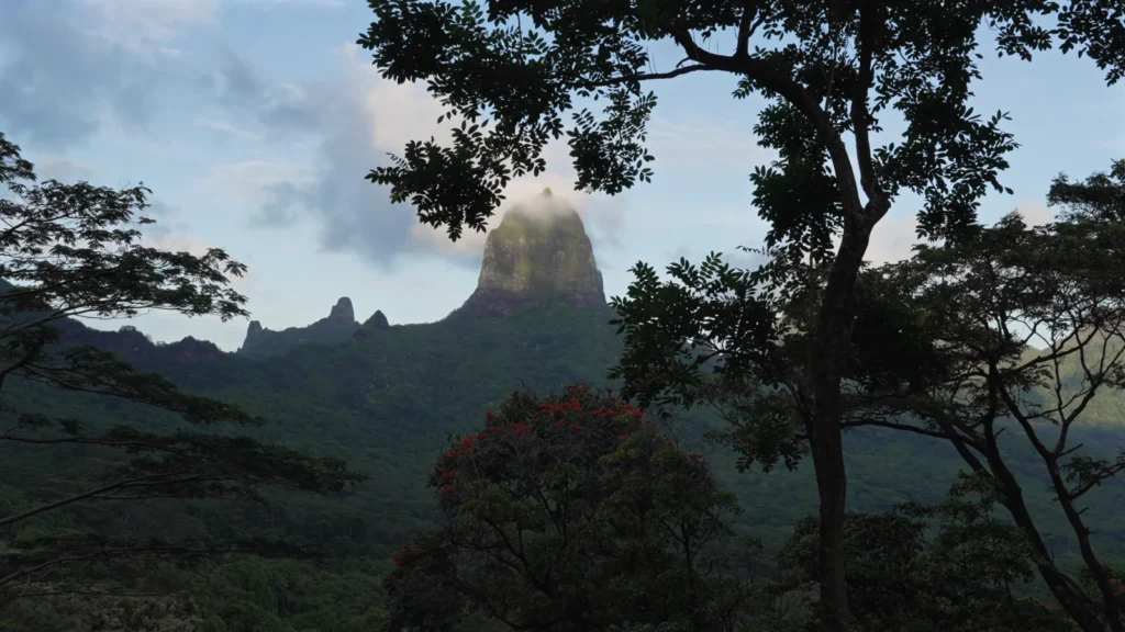 belvedere lookout hiking spot