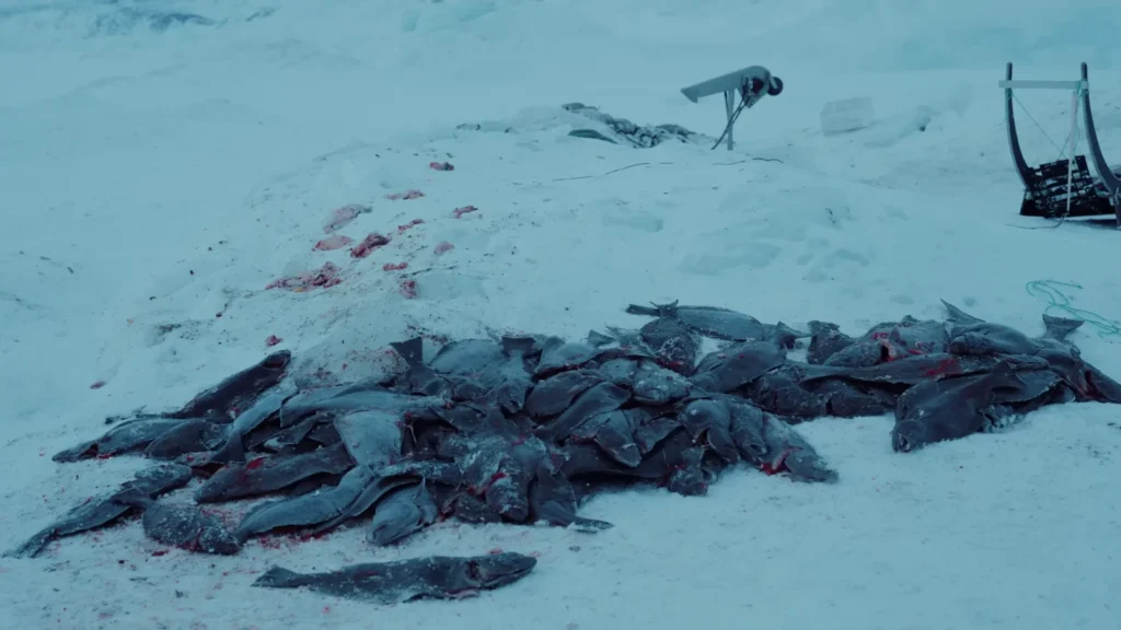 fishing in greenland