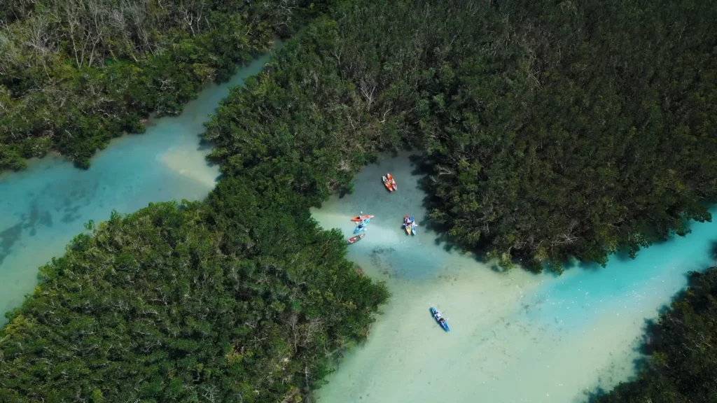 jIM Neville Marien Preserve