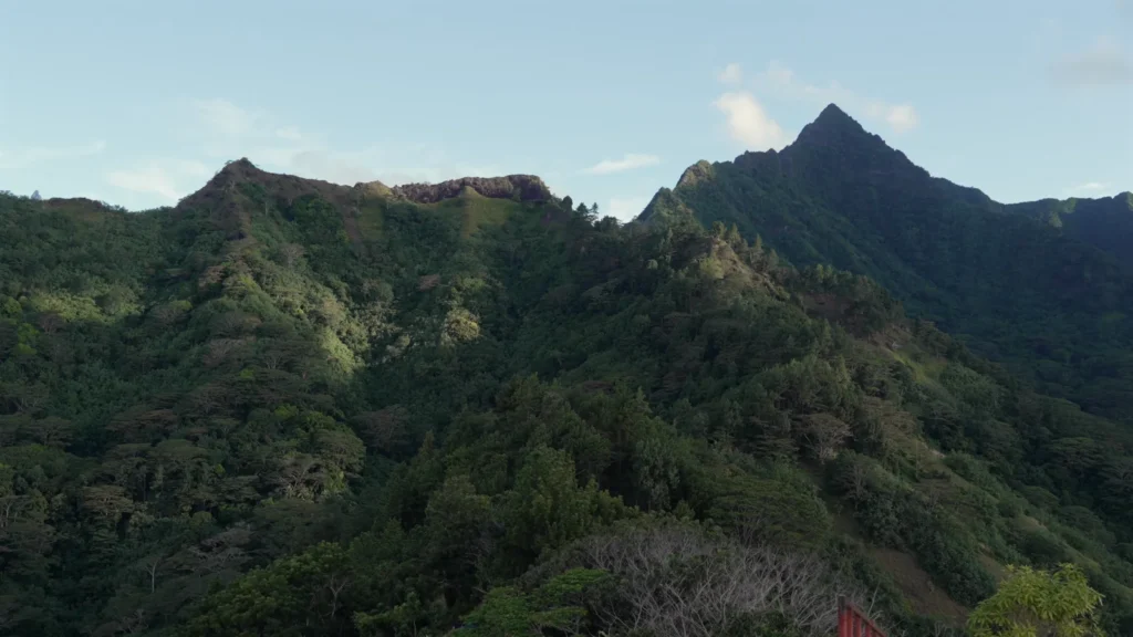 view from magic mountain