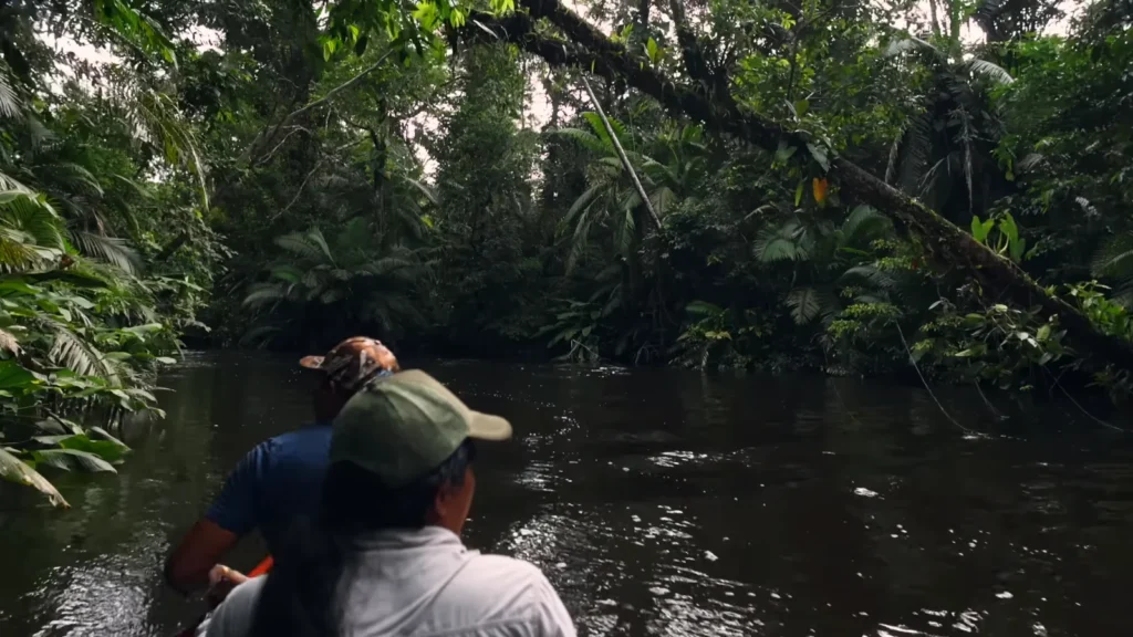 yasuni national park 1