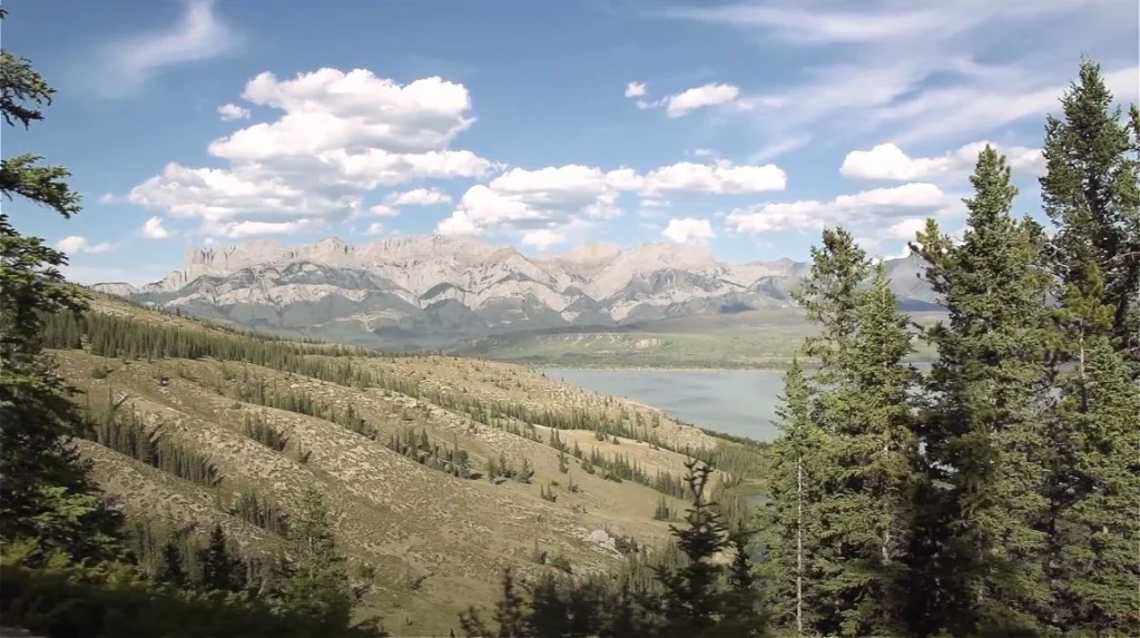 Alberta Glaciers, Wildlife and One Very Shaky Bridge