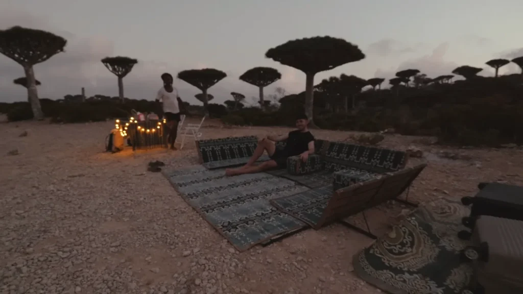 Dragon blood tree forest base