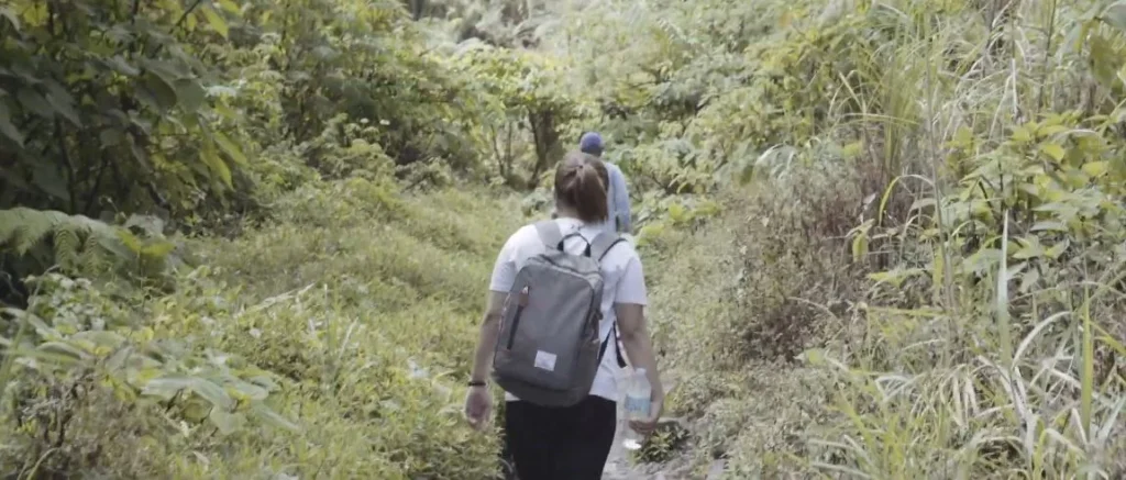 Jungle hiking through dense tropical vegetation