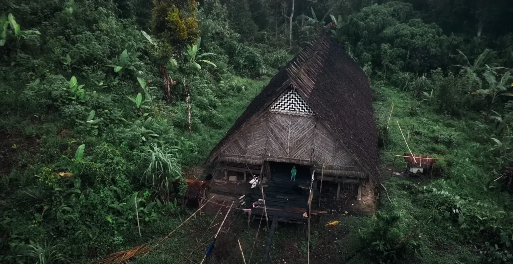 Our stay in middle of jungle