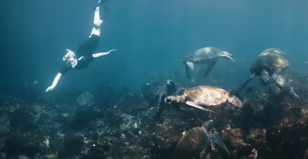 The Galapagos Taught Me That Witnessing Isn't Always Enough