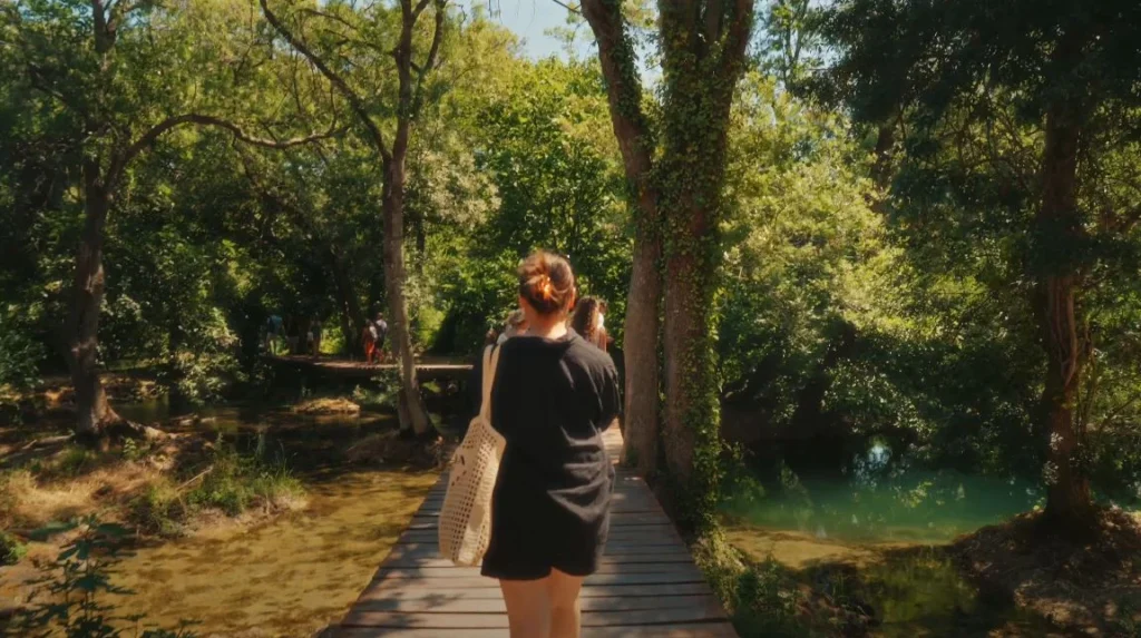Wooden walkway through the park