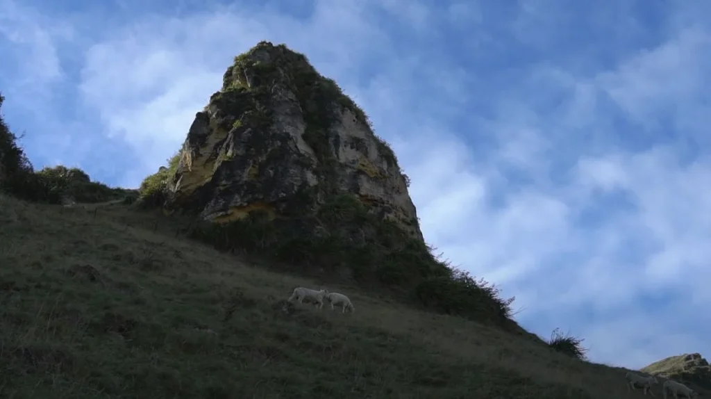 classic New Zealand pastoral scene with distinctive limestone outcrop