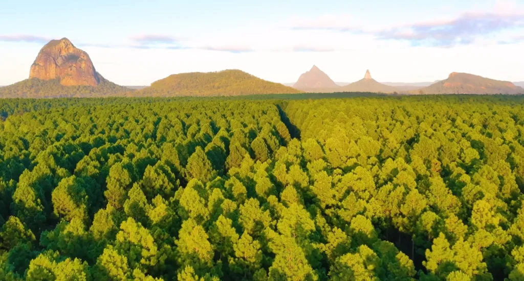 Glass house Mountain