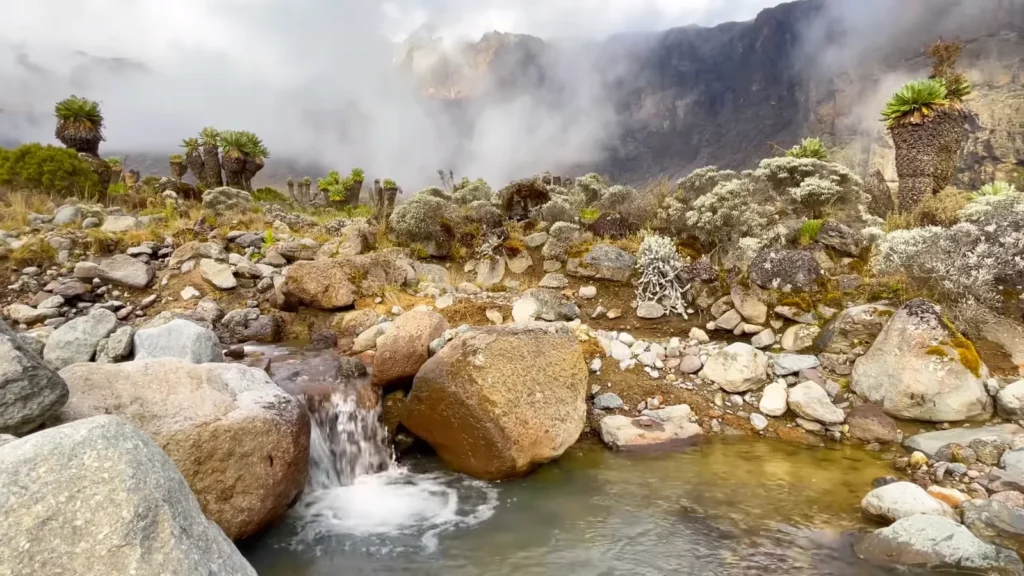 Mount kilimanjaro hike 2