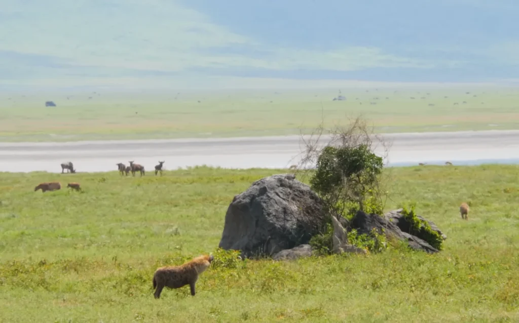 Ngorongoro Crater 1