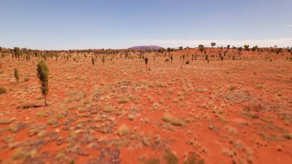 The outback