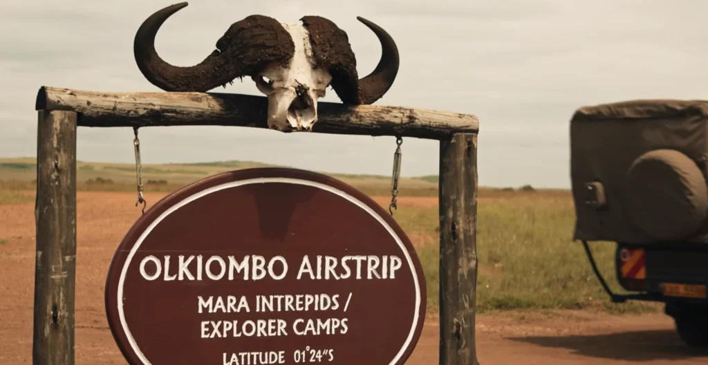 What My First Masai Mara Safari Actually Looked Like