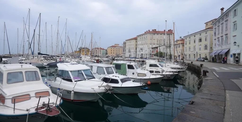 Piran marina, overcast, boats in harbor