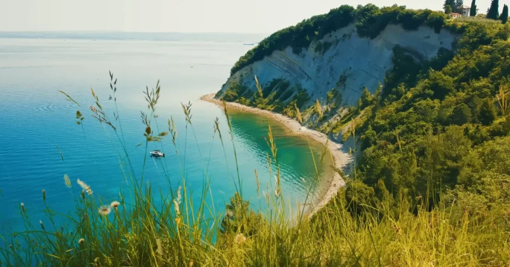 Strunjan cliffs, crescent beach, turquoise cove